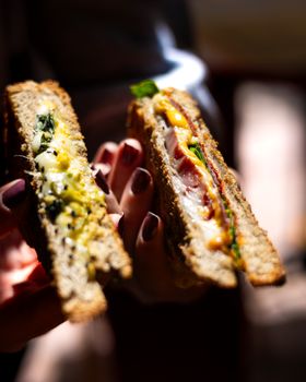 Close-up of hands holding gourmet grilled cheese sandwiches with vibrant fillings.