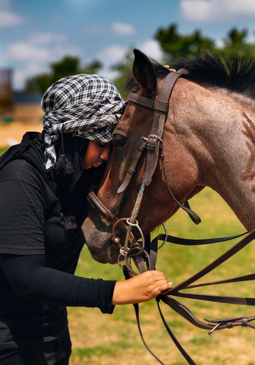 Free A woman gently strokes a horse's head, forming a deep bond outdoors. Stock Photo
