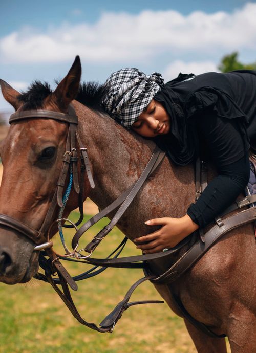 Free A woman lovingly embraces a horse outdoors on a sunny day, showcasing a bond of friendship. Stock Photo