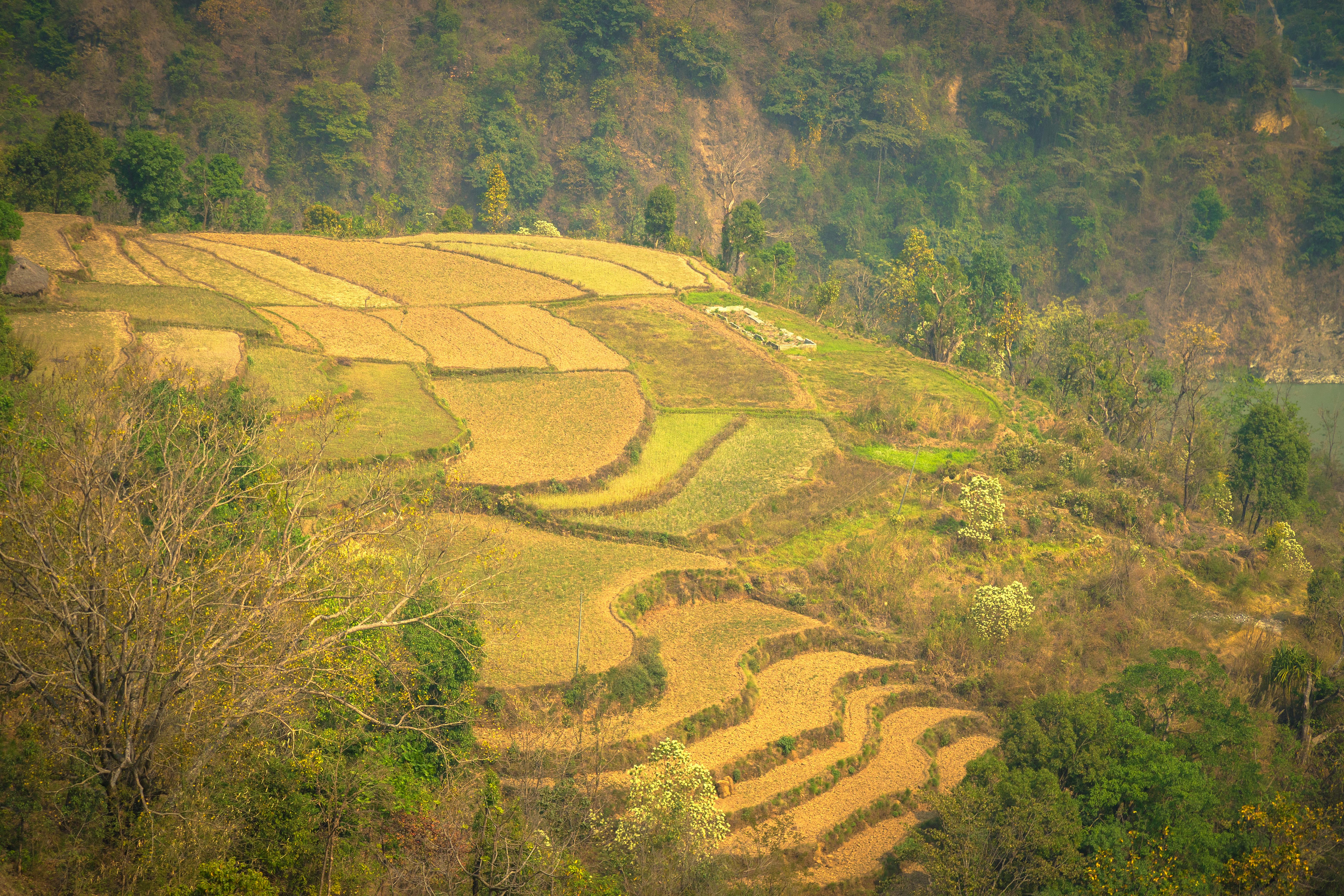 hiking trails, nature walk, outdoor adventure - Detail
