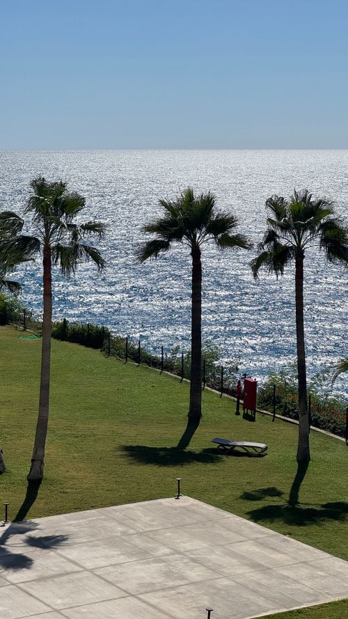 Free Beautiful ocean view with palm trees and a lawn, perfect for relaxation. Stock Photo