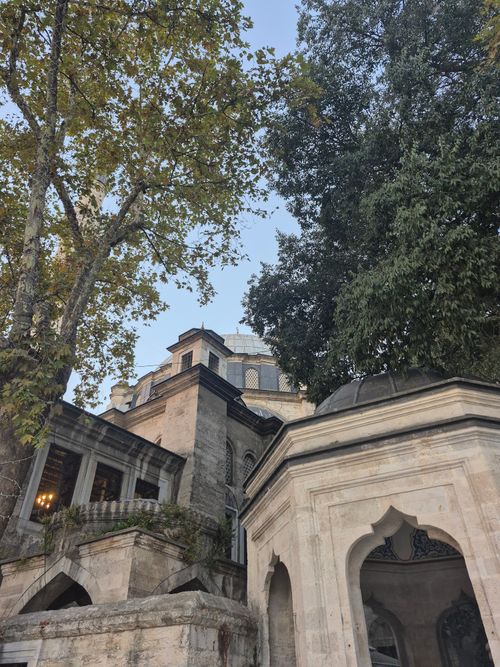 Free A beautiful view of historic architecture surrounded by lush trees and a clear sky. Stock Photo