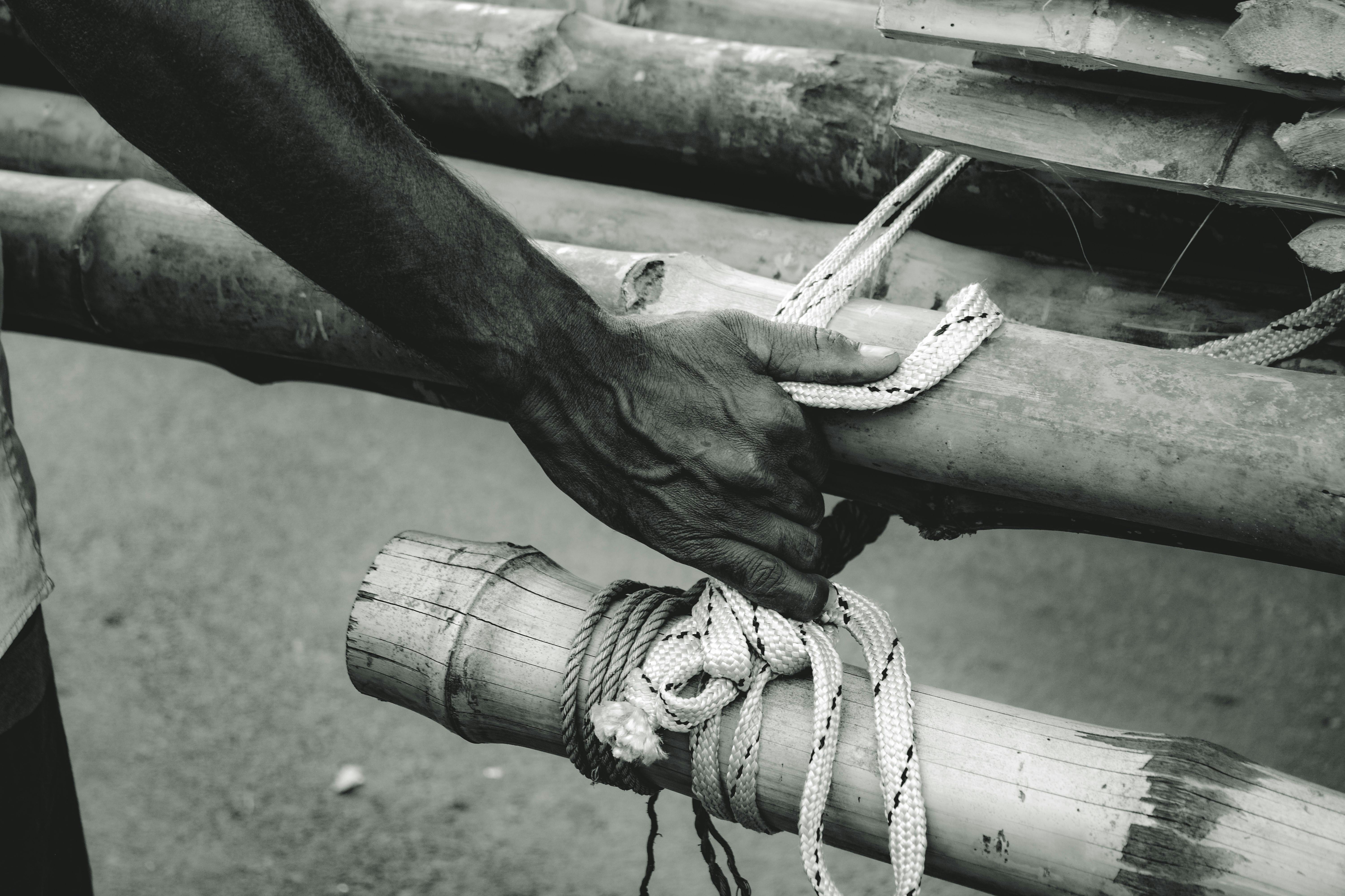 Effective Sustainable Growth Strategies for Startups