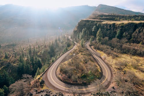 Strada Asfaltata Grigia Tra Alberi Verdi