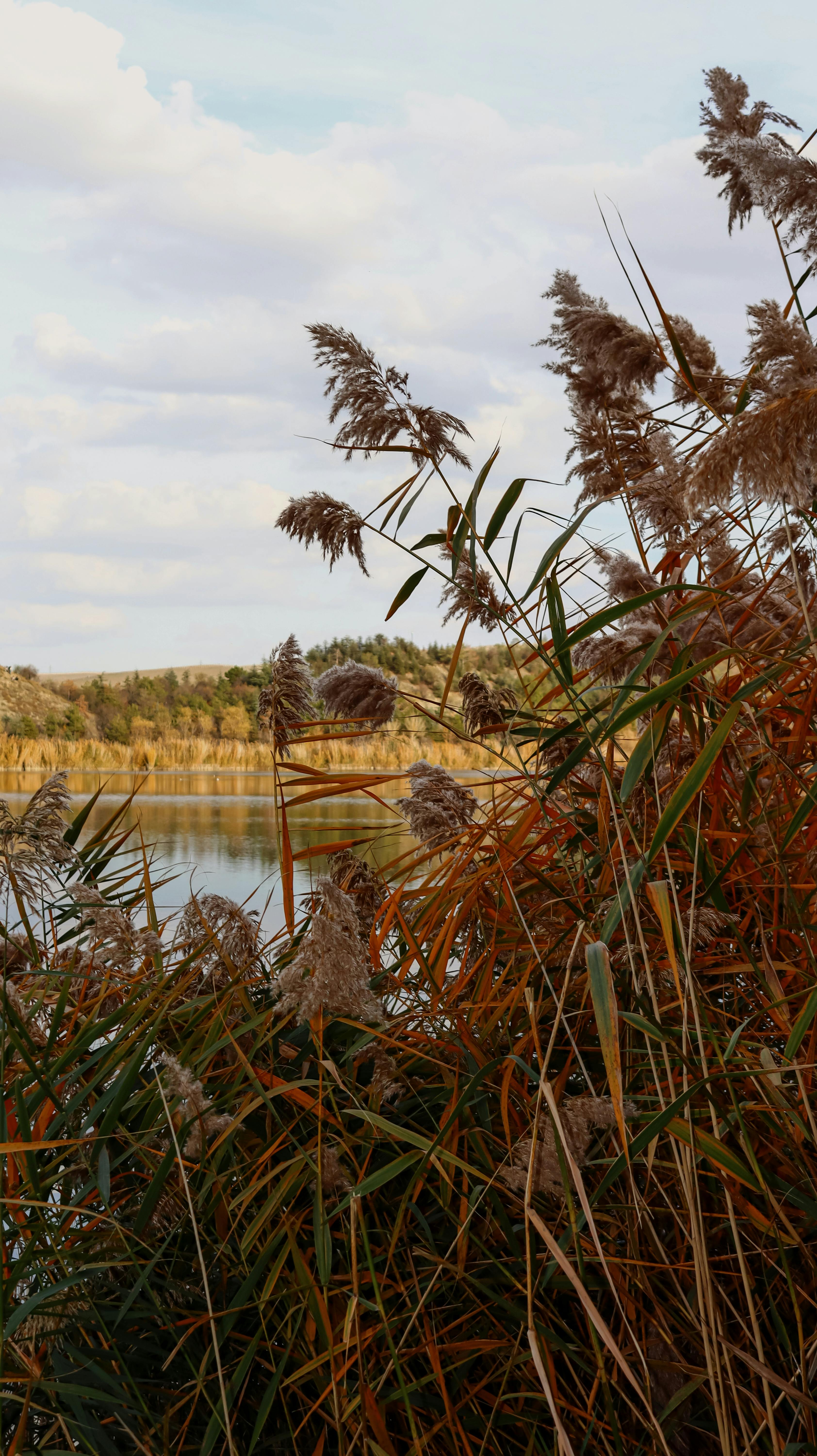 Therapeutic consultation and thoughtful care