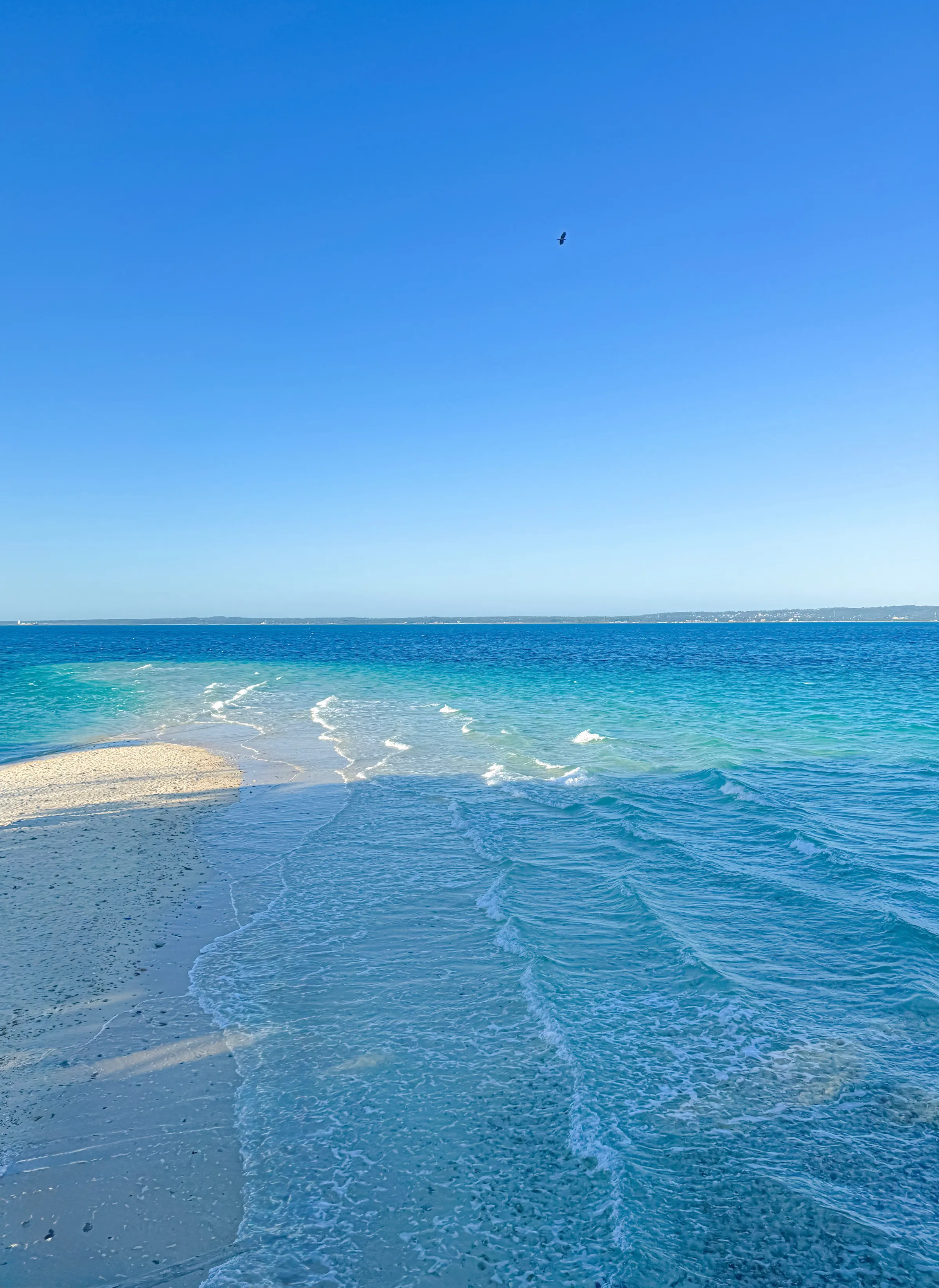 Zanzibar Wildlife & Culture