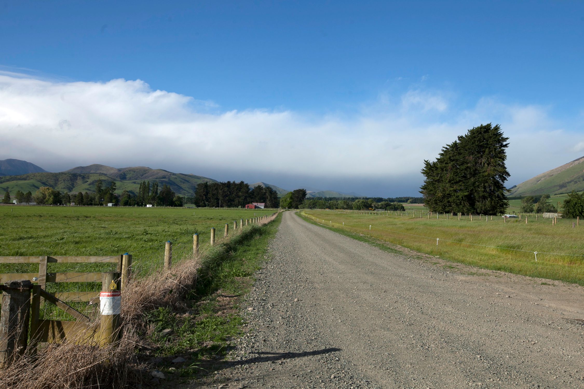 A tranquil gravel road winds through picturesque countryside with lush green fields under a bright blue sky.