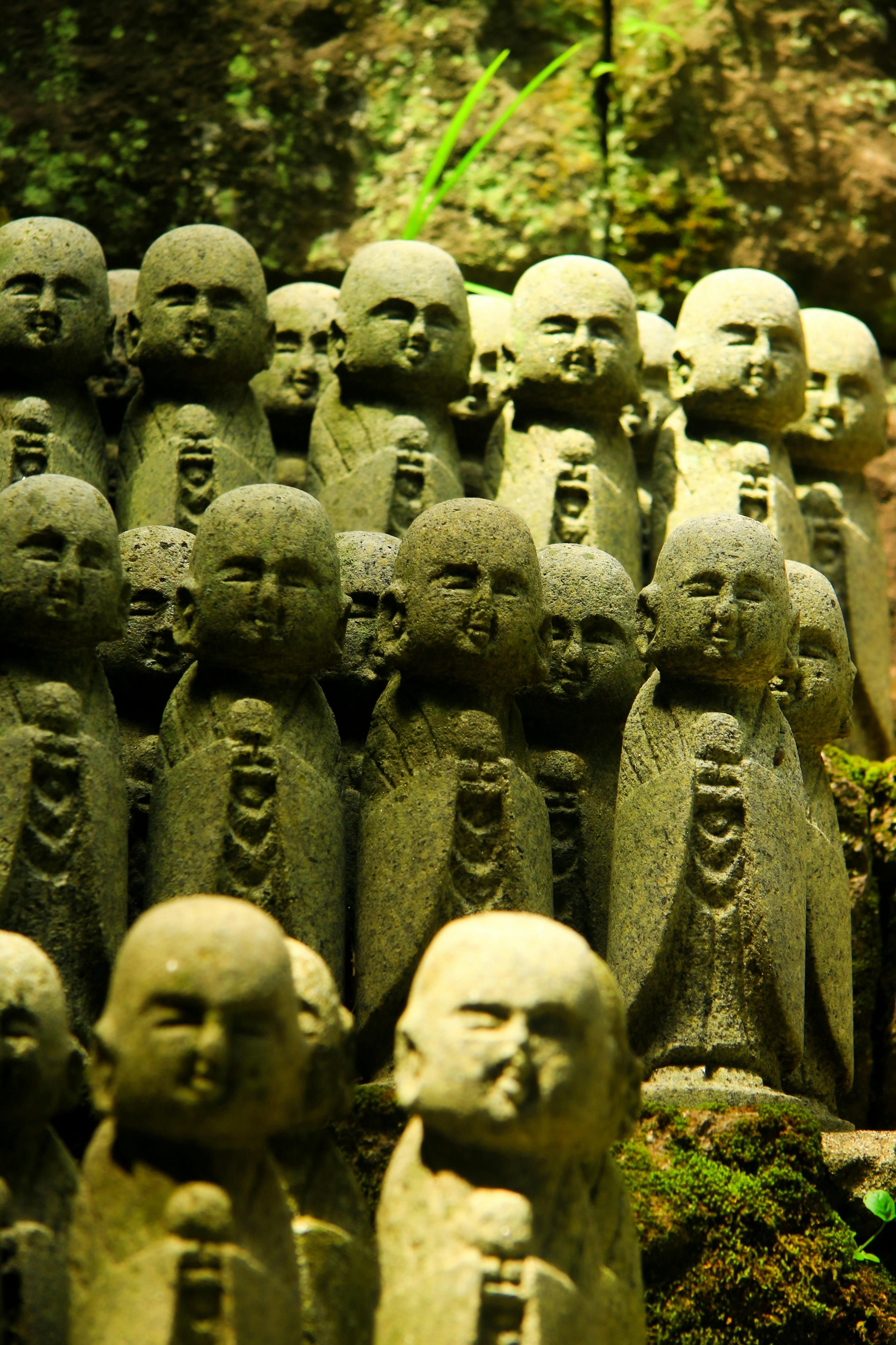 Group of stone Buddha statues surrounded by lush greenery, conveying peace and spirituality.