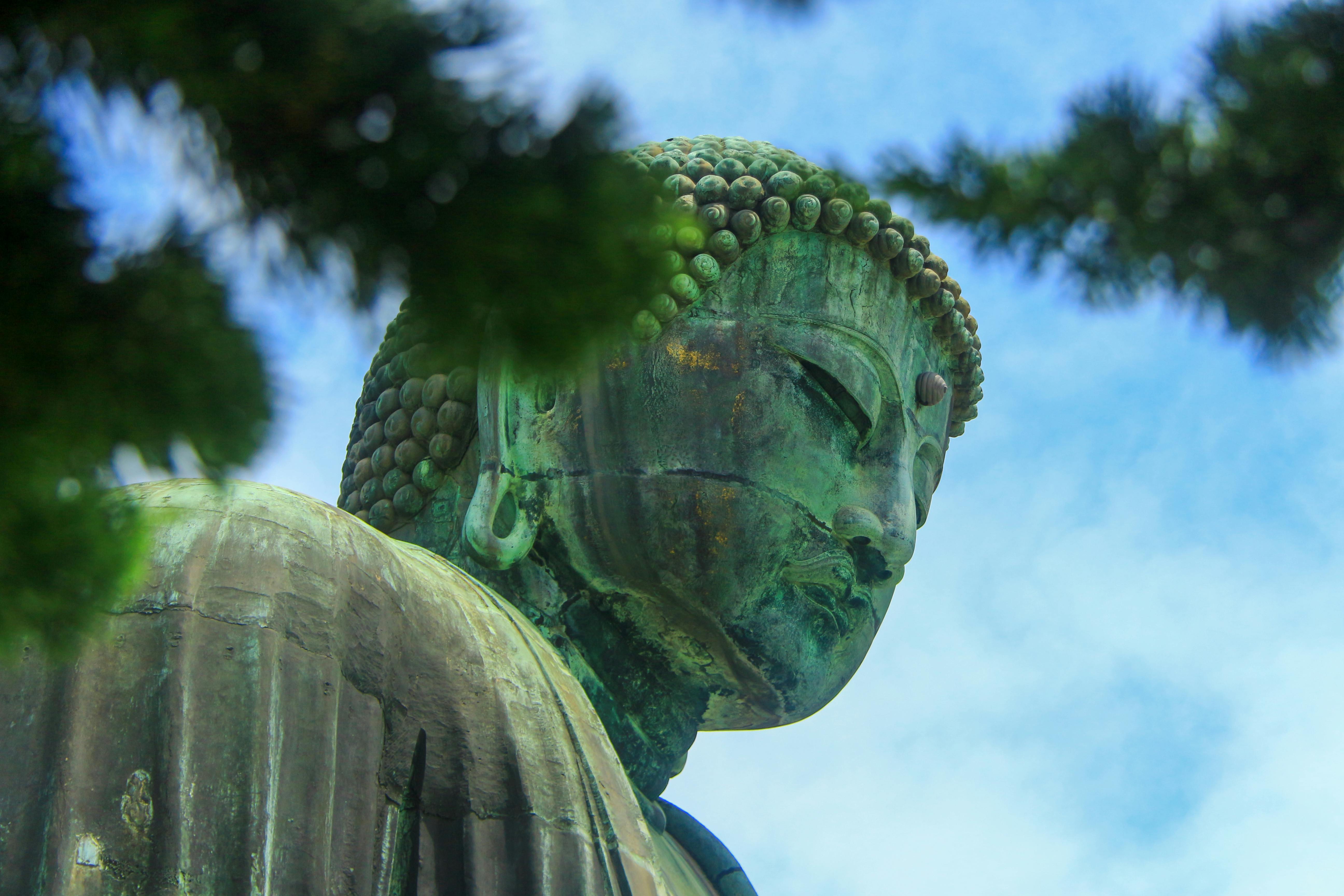 Close-up view of a serene Buddha statue framed by greenery, under a clear blue sky.