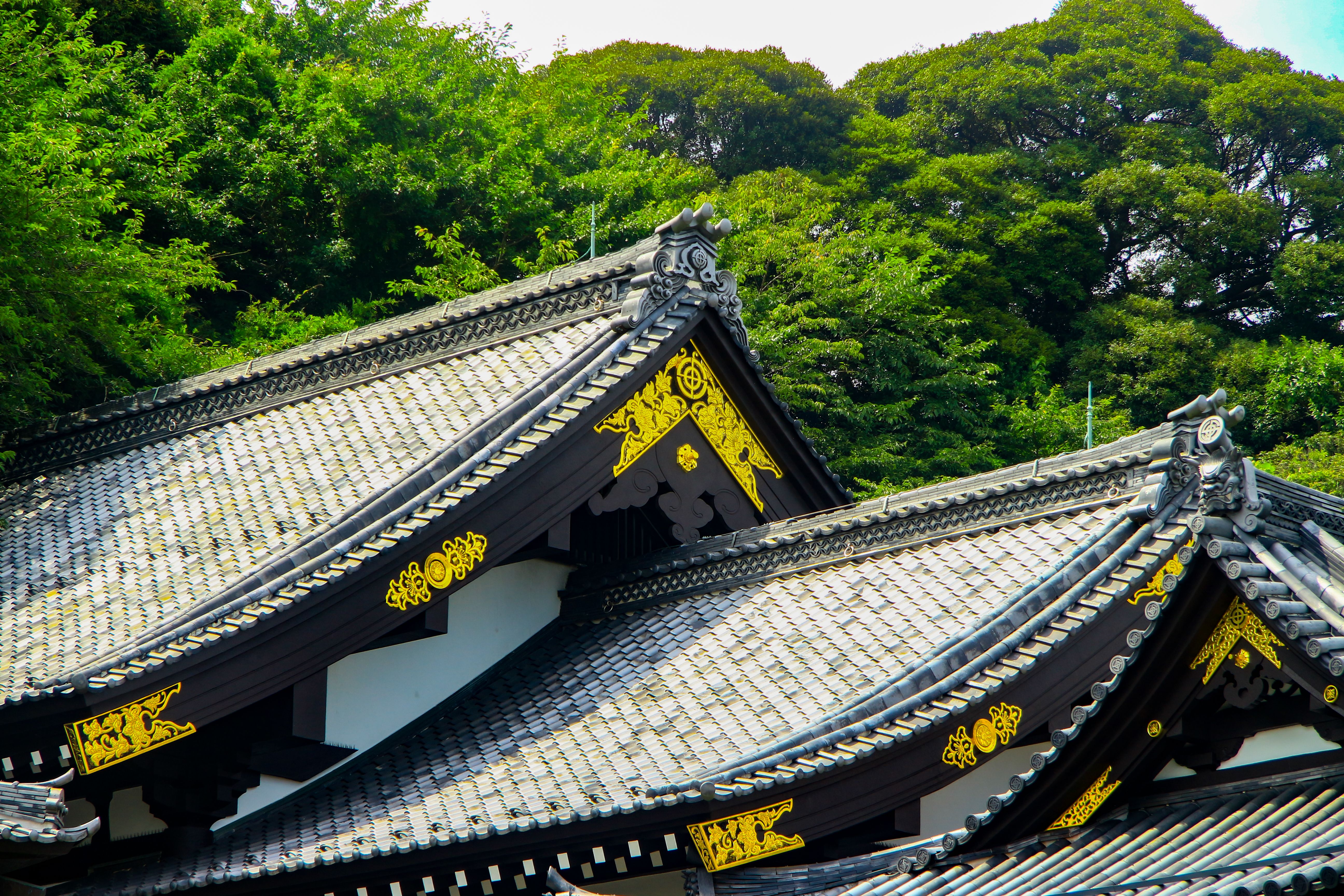 Traditional Japanese Temple Roofs in Lush Greenery · Free Stock Photo