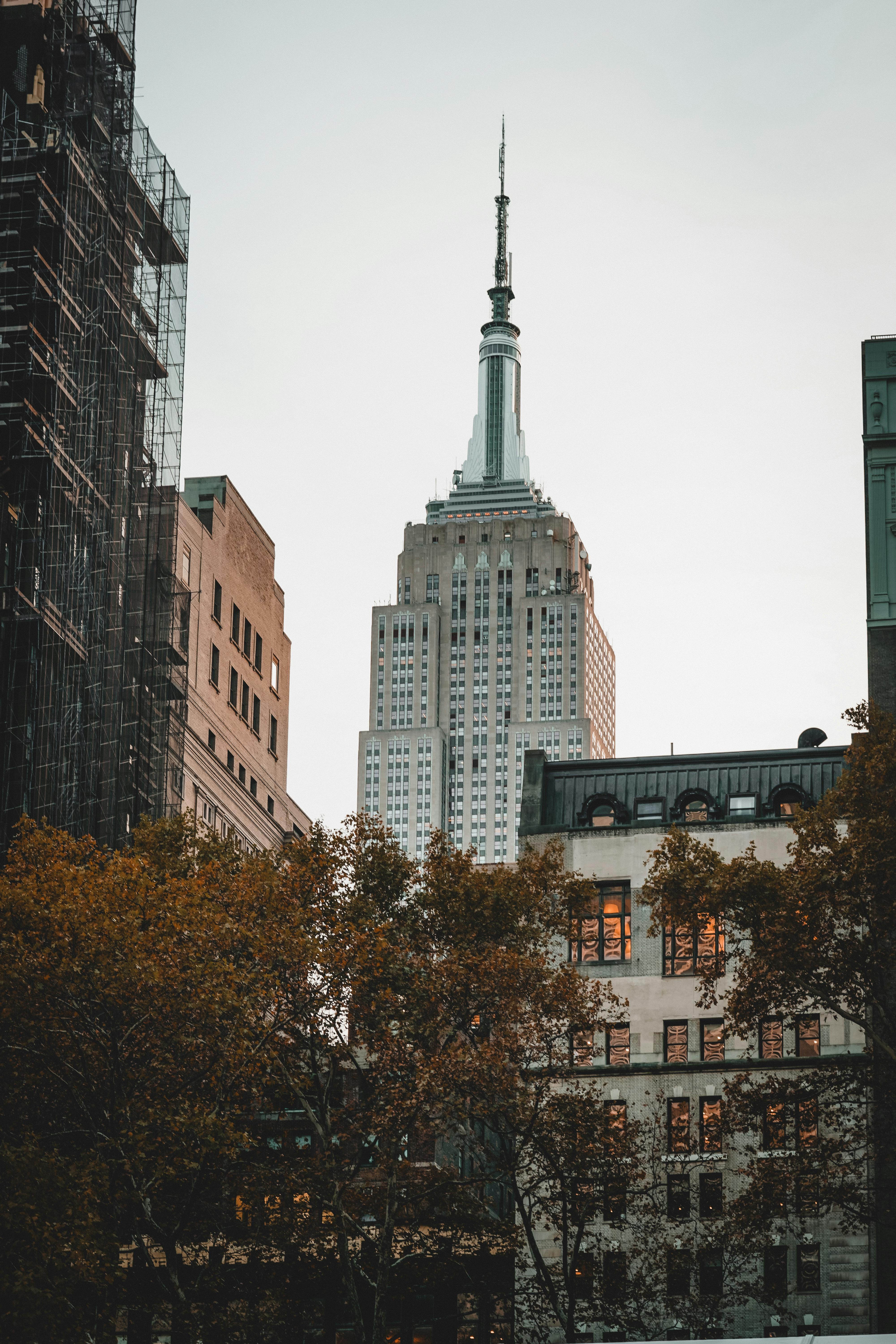 Alfond Scholarships Program 