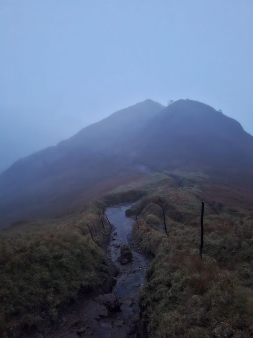 Free A Foggy Mountain Path Stock Photo