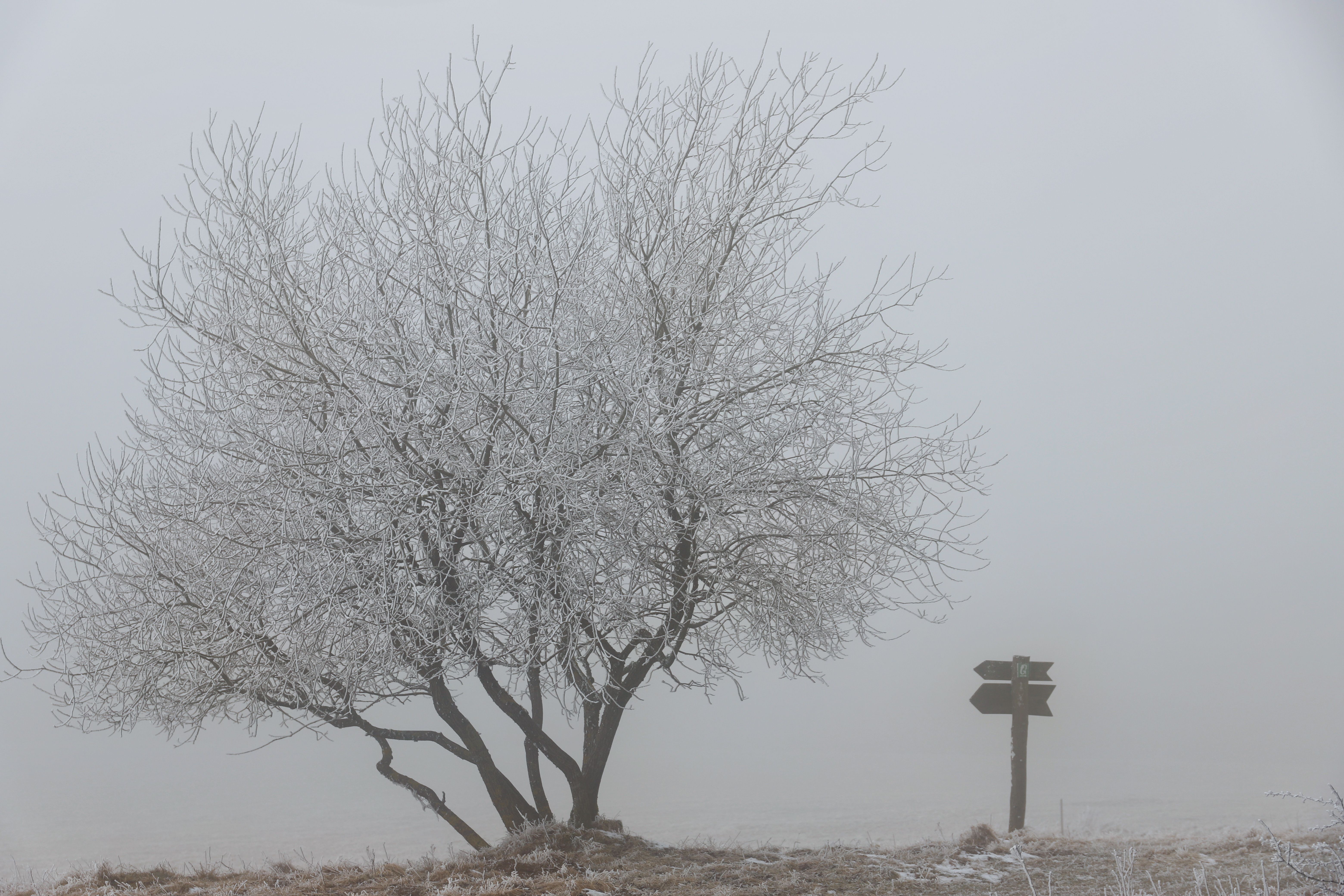 forked path signpost crossroads