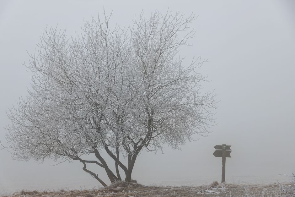 forked path signpost crossroads