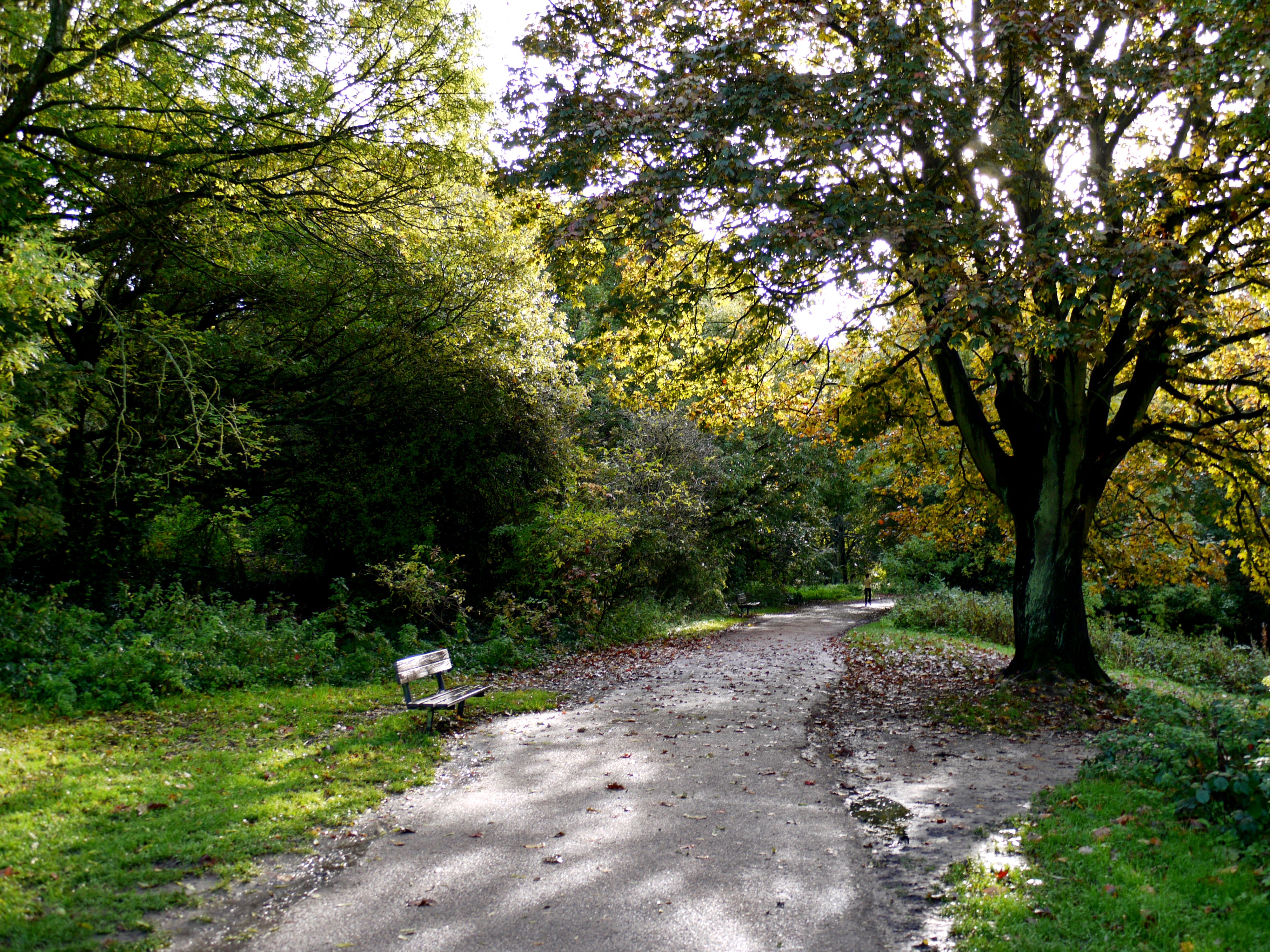 Hampstead Heath - Randonnée et baignade