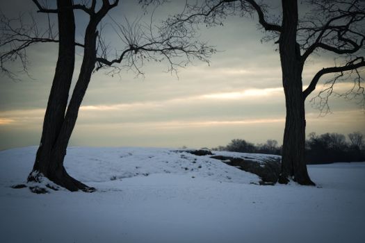 A tranquil winter scene featuring bare trees against a snowy field and cloudy sky.