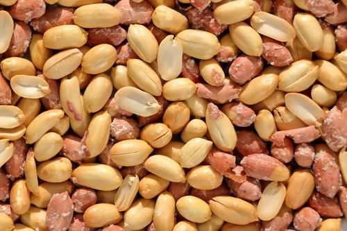 Free A detailed close-up image of roasted peanuts in their shells, showcasing texture. Stock Photo