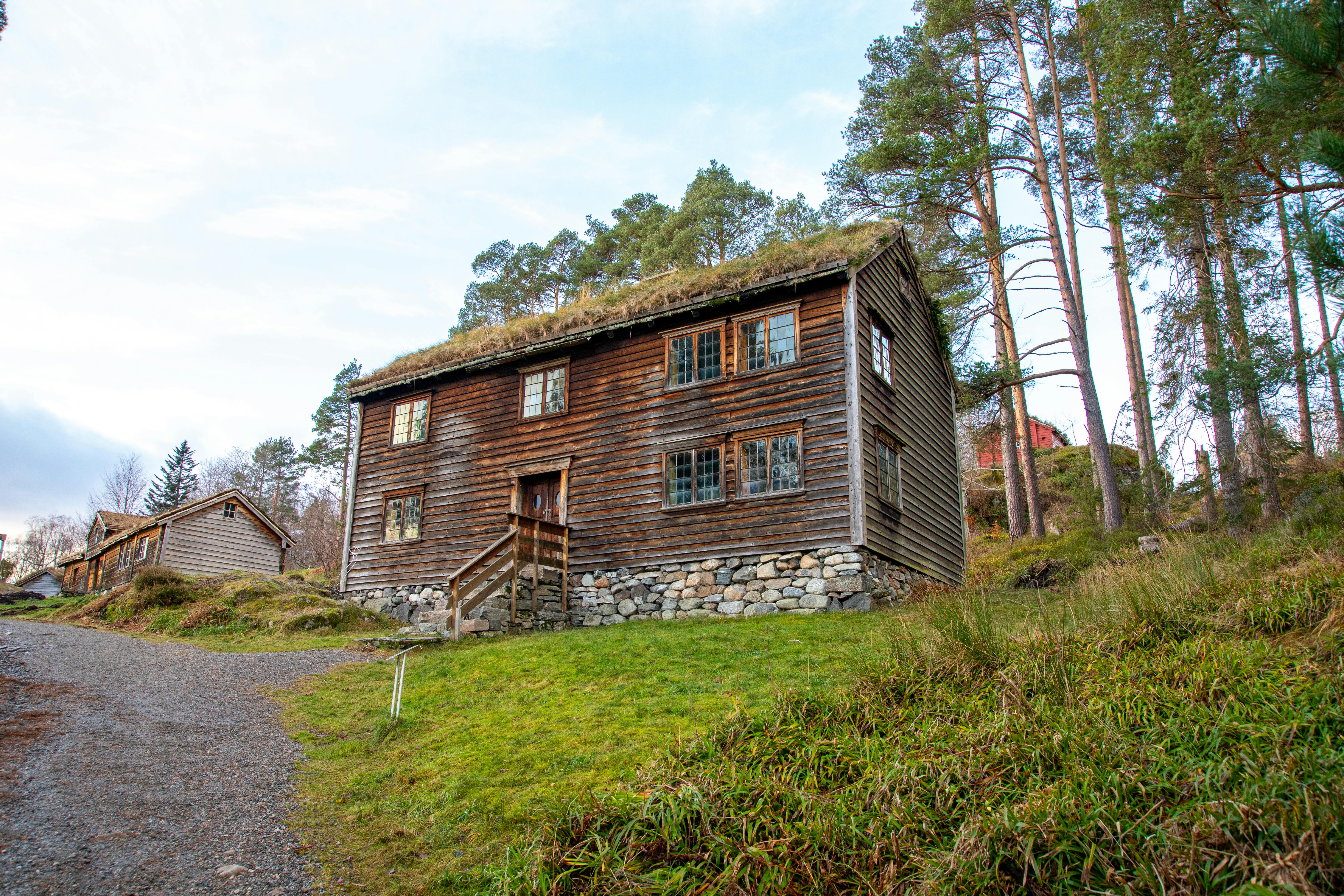 Free stock photo of green, history, museum