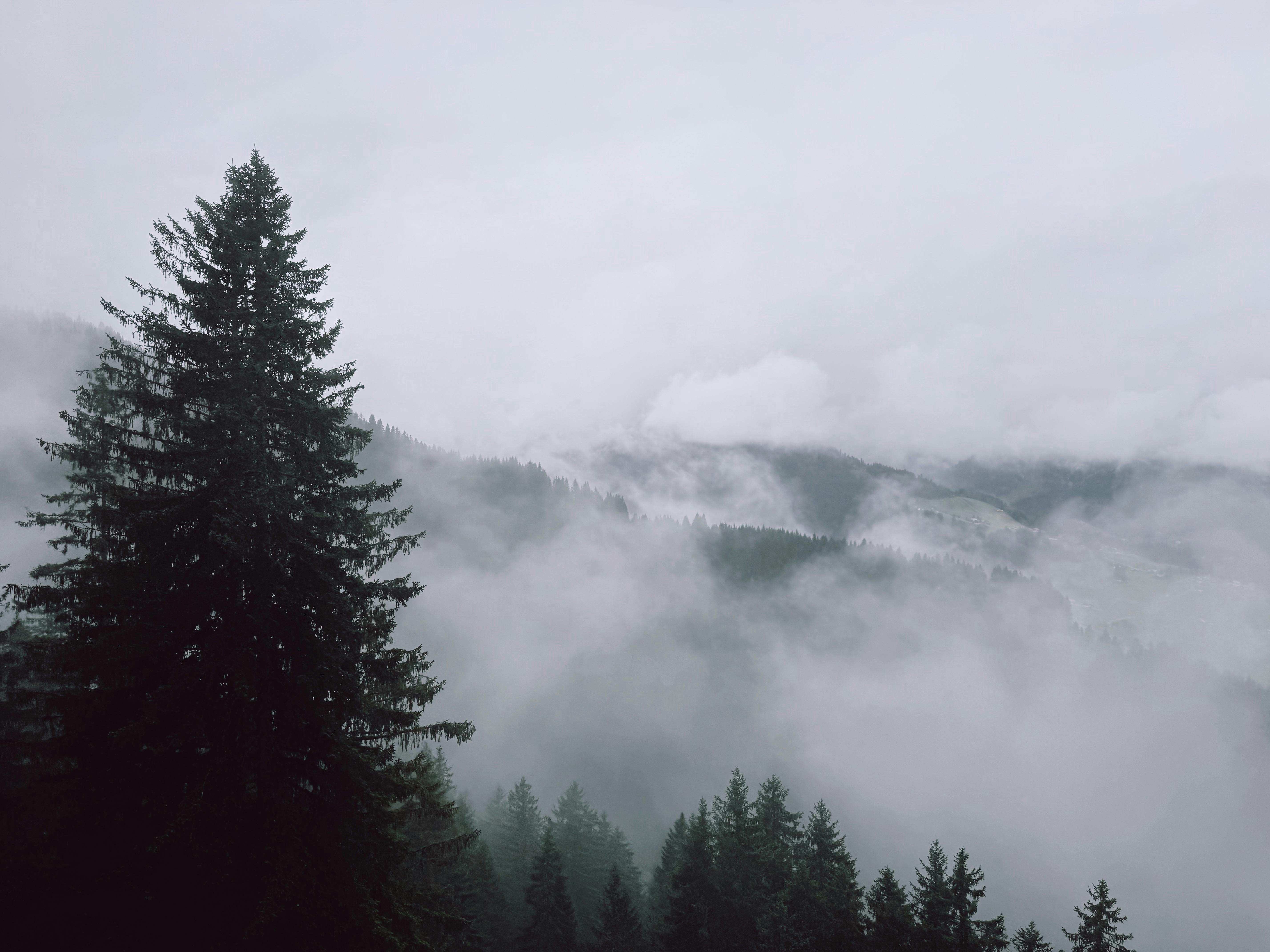 Unveiling Ancient Mysteries Untold