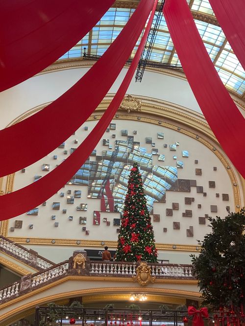Free stock photo of indoor christmas Stock Photo