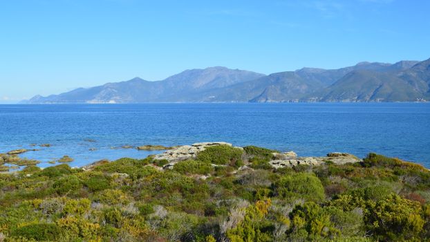 Serene coastal landscape of Patrimonio, Corsica with clear blue skies and the Mediterranean Sea.
