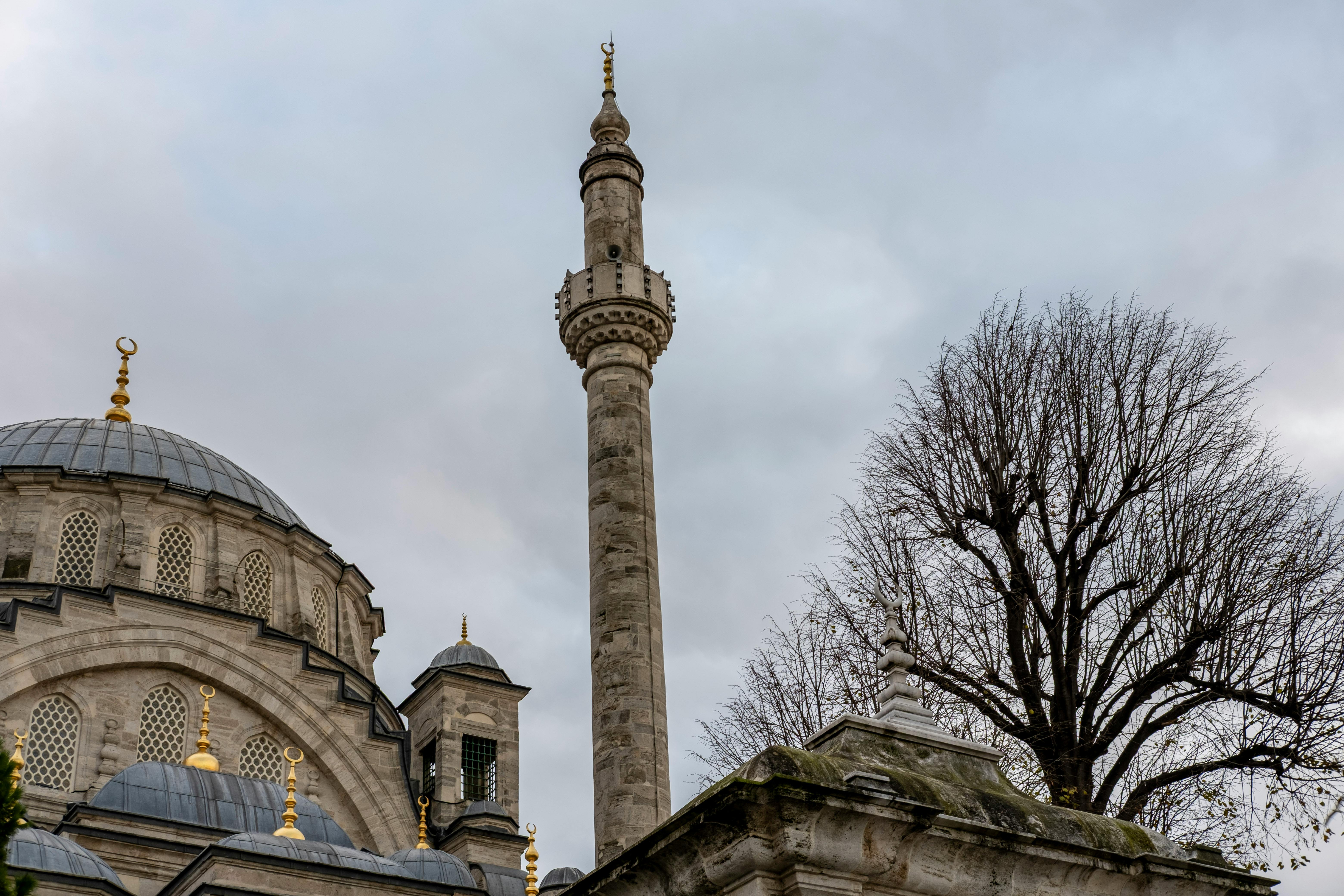 Influencer Marketing Boosts Your Brand Visibility