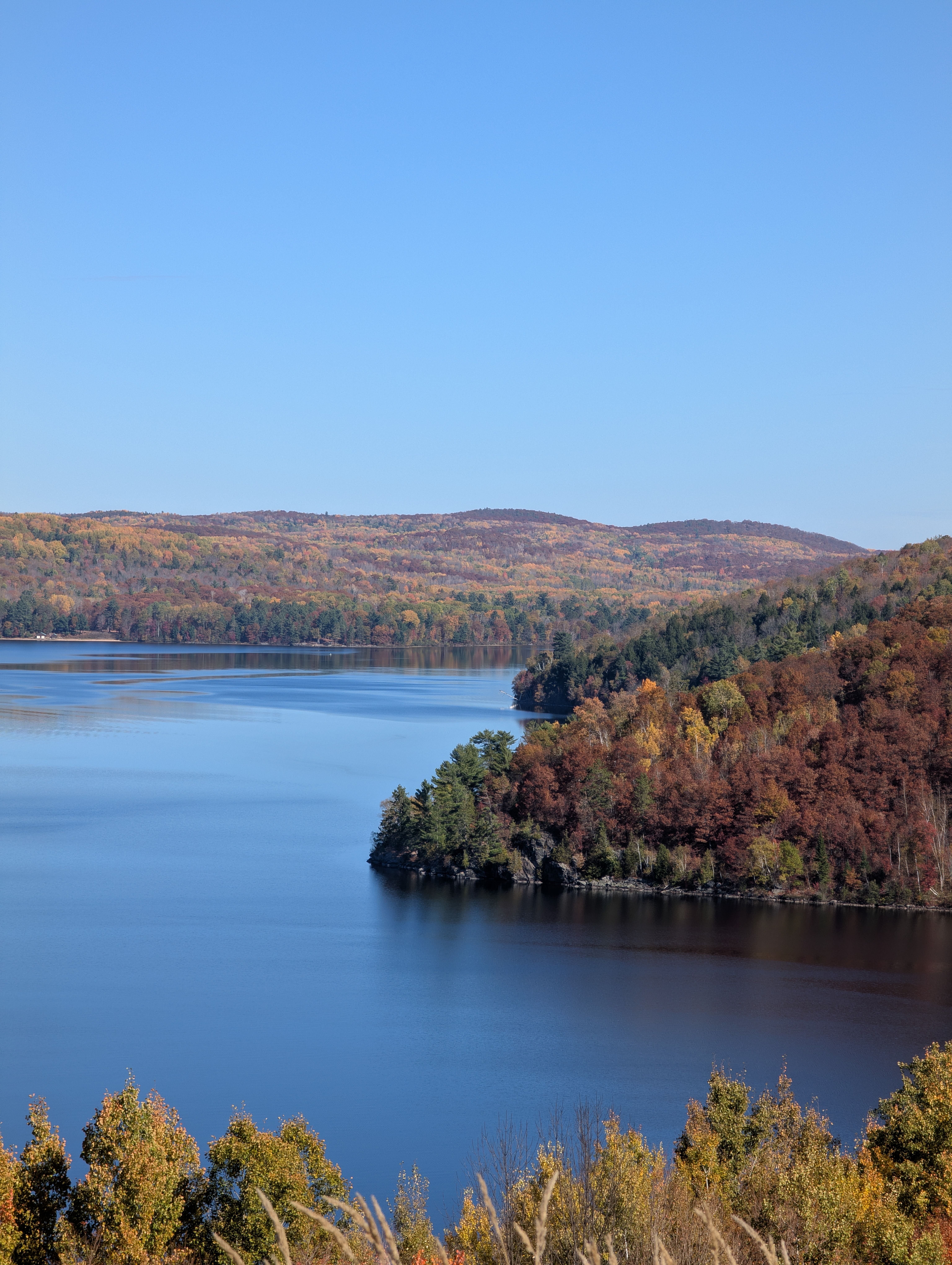 Scenic Autumn Lake with Vibrant Foliage · Free Stock Photo