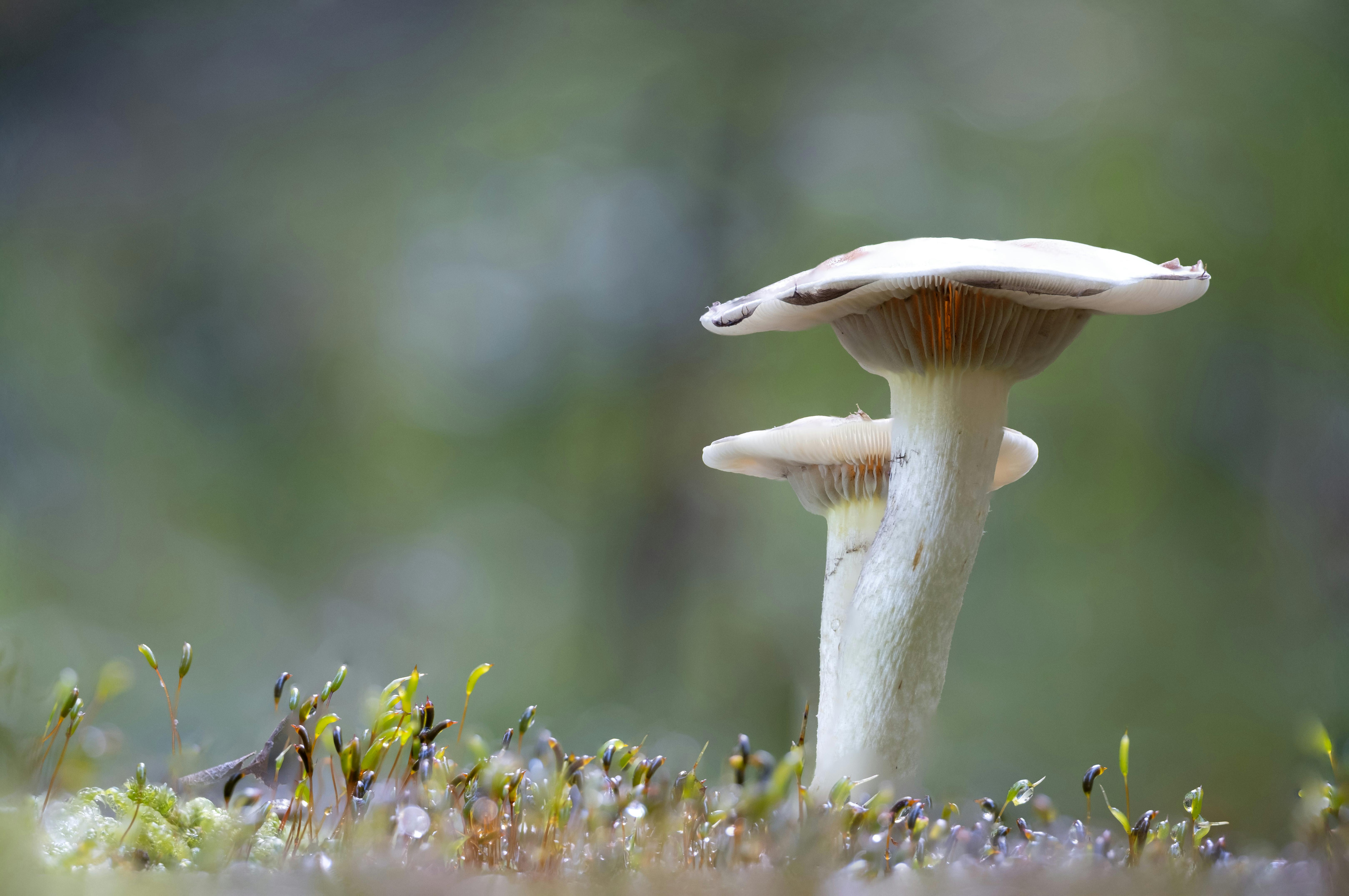 Groundbreaking Discovery Alert: Unlocking New Horizons in Science