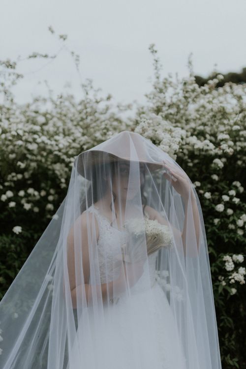Free Beautiful bride in white veil standing amidst a garden filled with white flowers. Stock Photo
