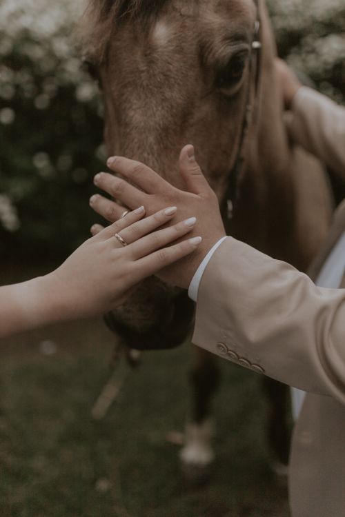 Free Couple's hands touching a horse's face in a tranquil outdoor setting, symbolizing love and nature. Stock Photo