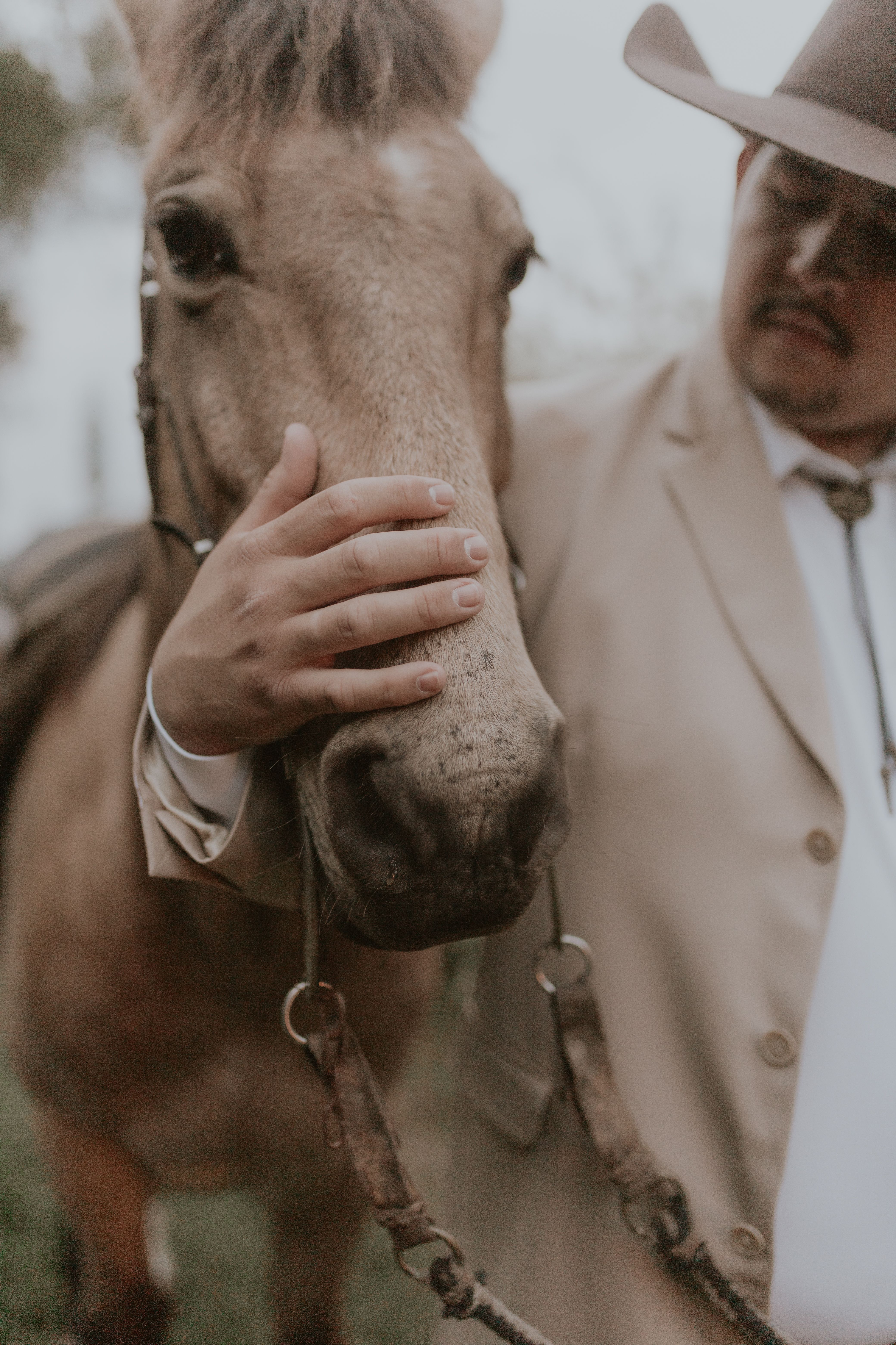 Horswe Ridign Ridign Horse Photos, Download The BEST Free Ridign Horse Stock Photos ...