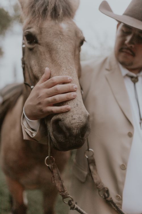 Free Cowboy in beige outfit lovingly caressing a horse's nose outdoors. Stock Photo