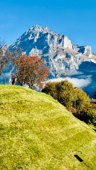 Stunning autumn landscape with a prominent mountain in the background and colorful foliage.