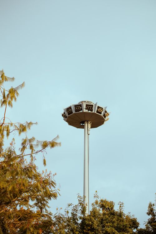 Free Amusement park ride reaching skyward, surrounded by tree foliage on a clear day. Stock Photo
