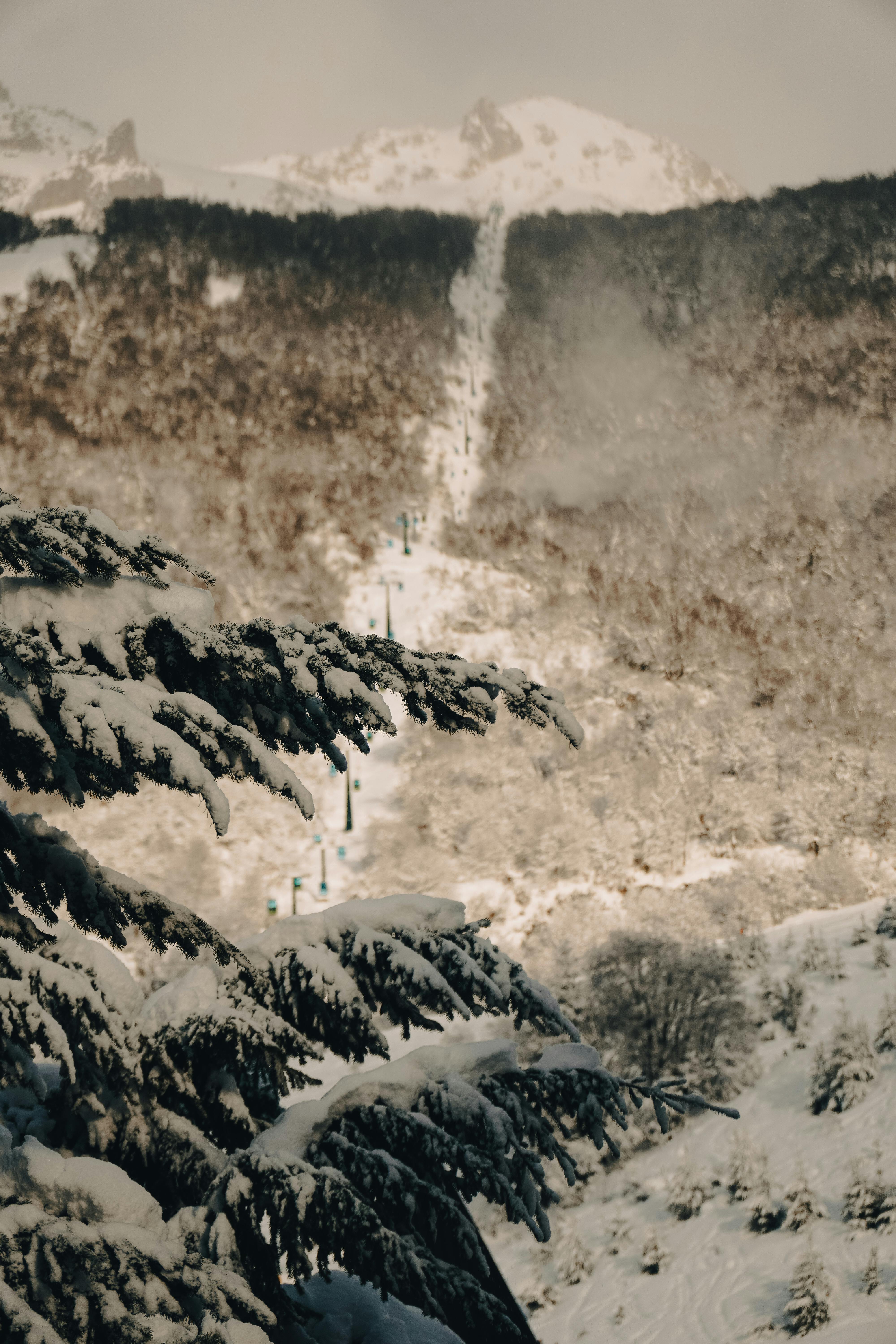 Free stock photo of argentina, bariloche, cerro catedral