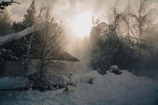 Serene winter landscape with snow-covered trees and cabin in Bariloche, Argentina.