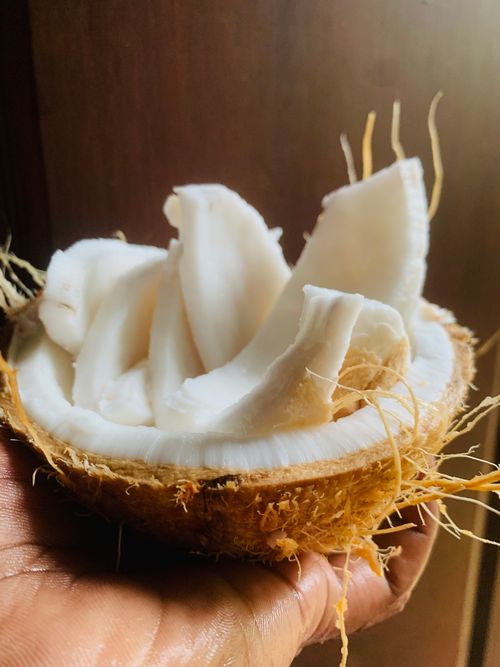 Free Close-up of a freshly cracked coconut half revealing white, succulent flesh, perfect for tropical recipes. Stock Photo