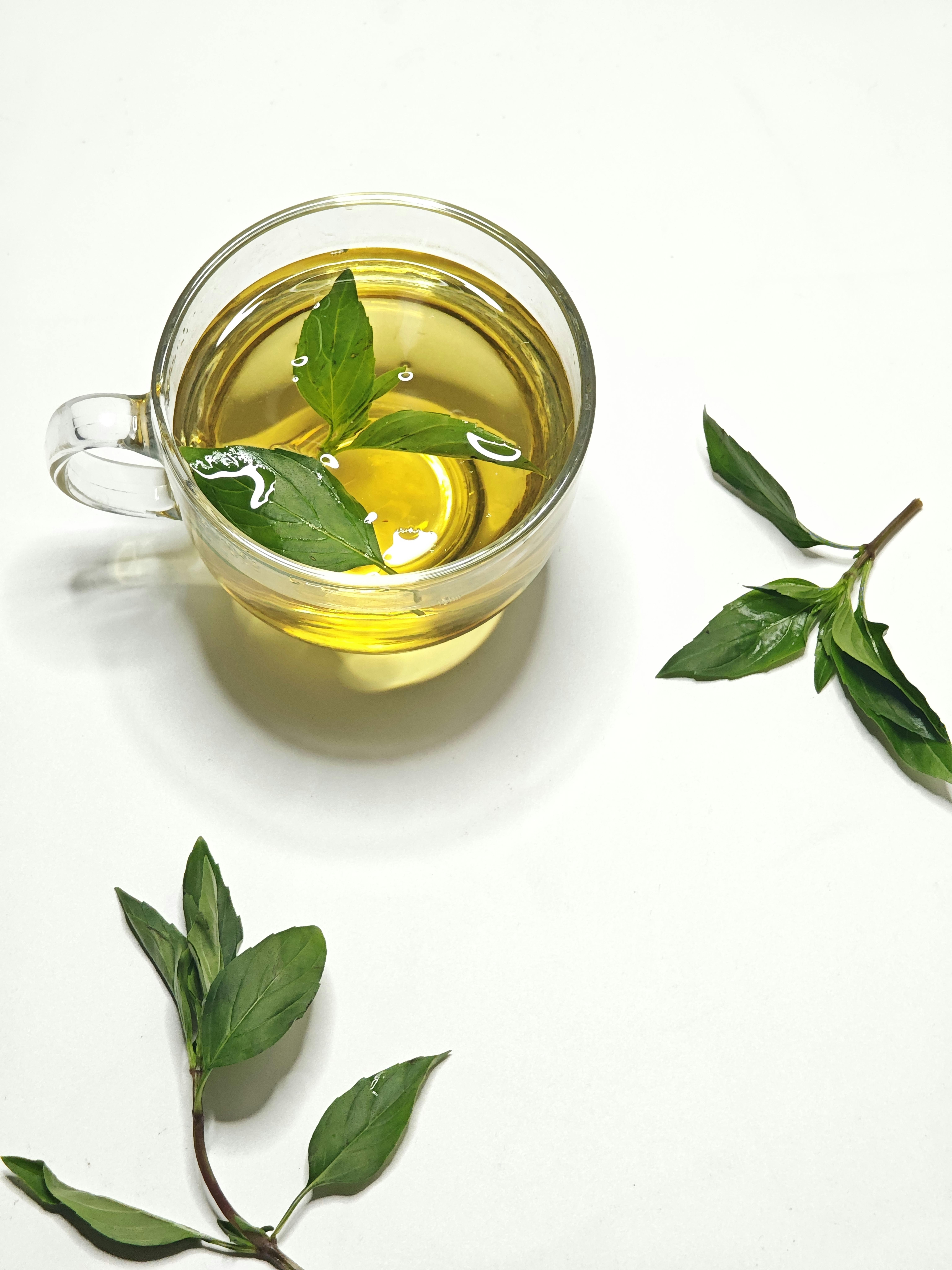 Glass cup of herbal tea with fresh basil leaves, offering a refreshing and calming experience.
