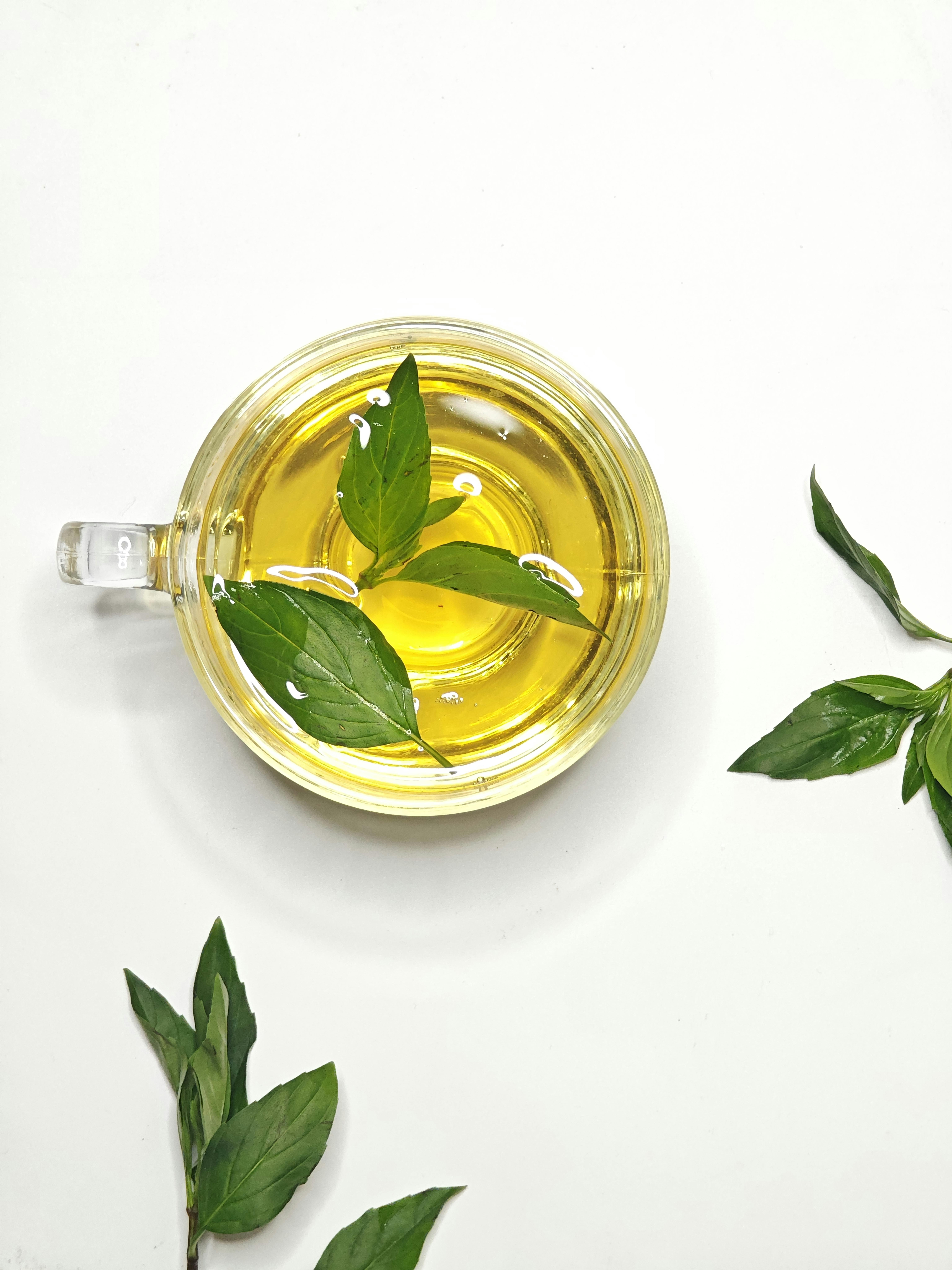 Top view of herbal tea with fresh mint leaves in a glass cup on a white background.