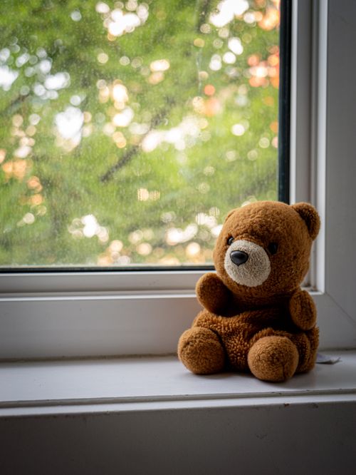 Free A cute teddy bear sits on a windowsill with a serene view of lush green leaves. Stock Photo