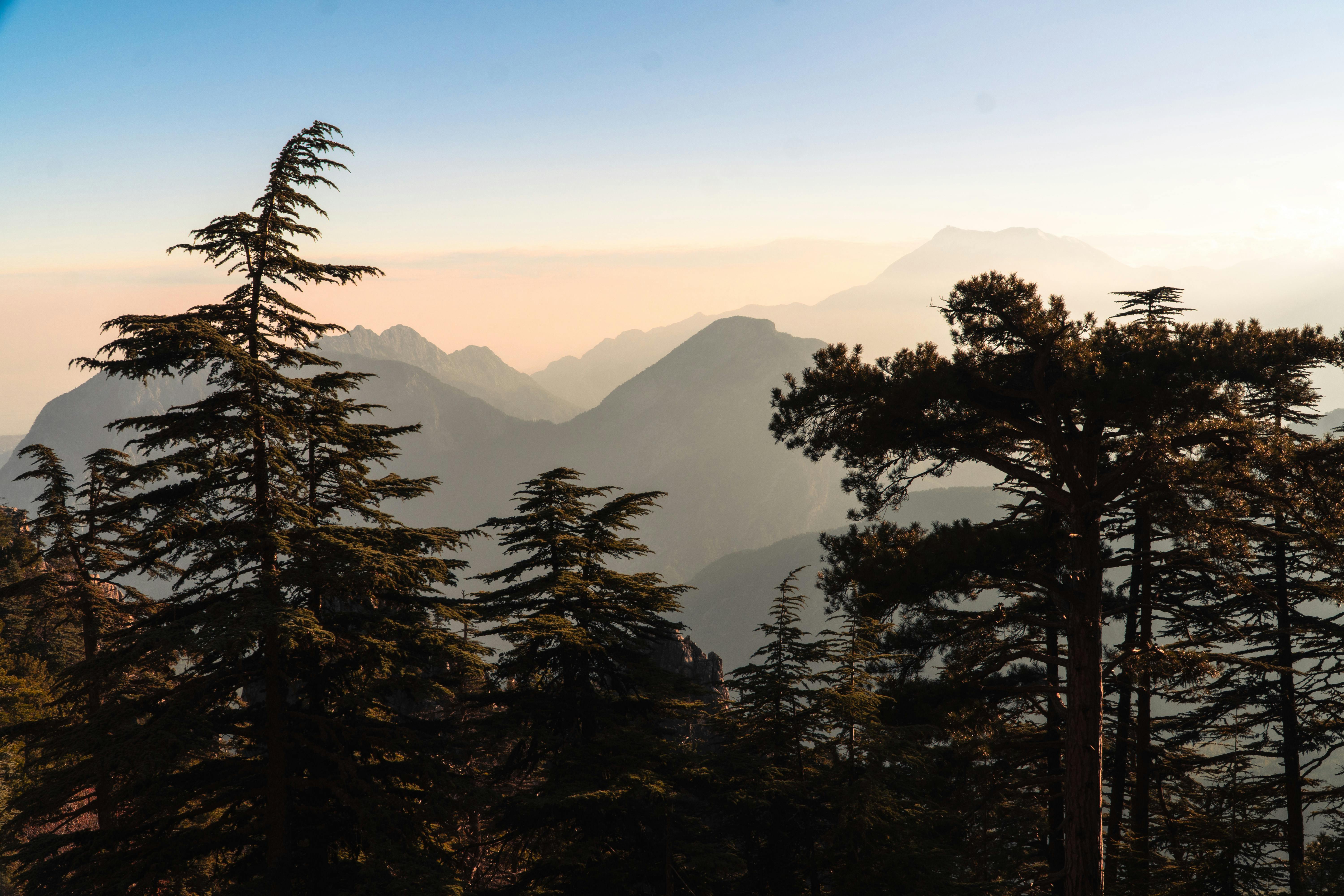 Secret Boosters for Your Morning Routine