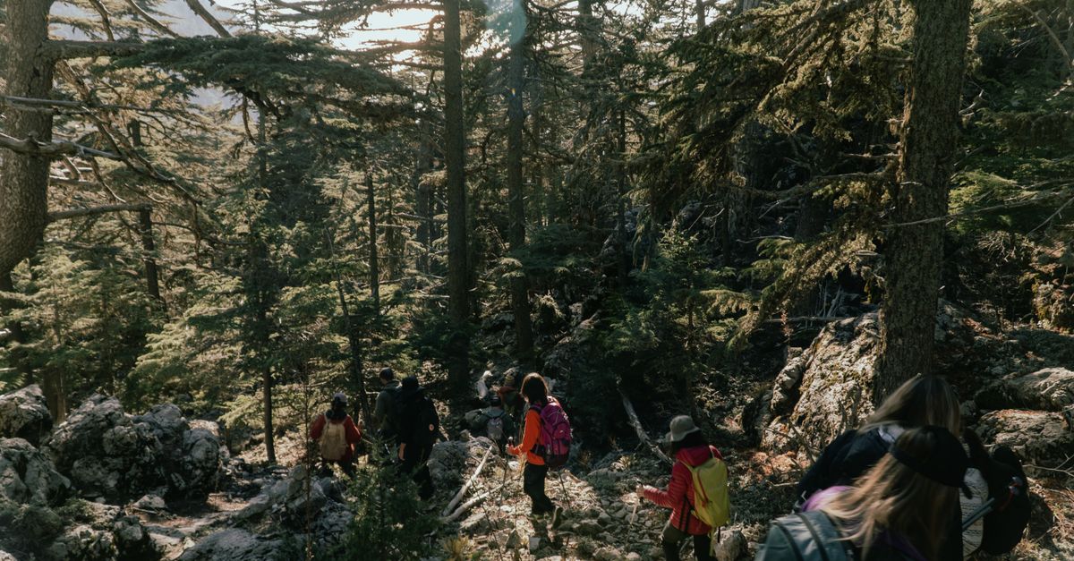 Les 10 meilleures activités sportives à essayer en plein air
