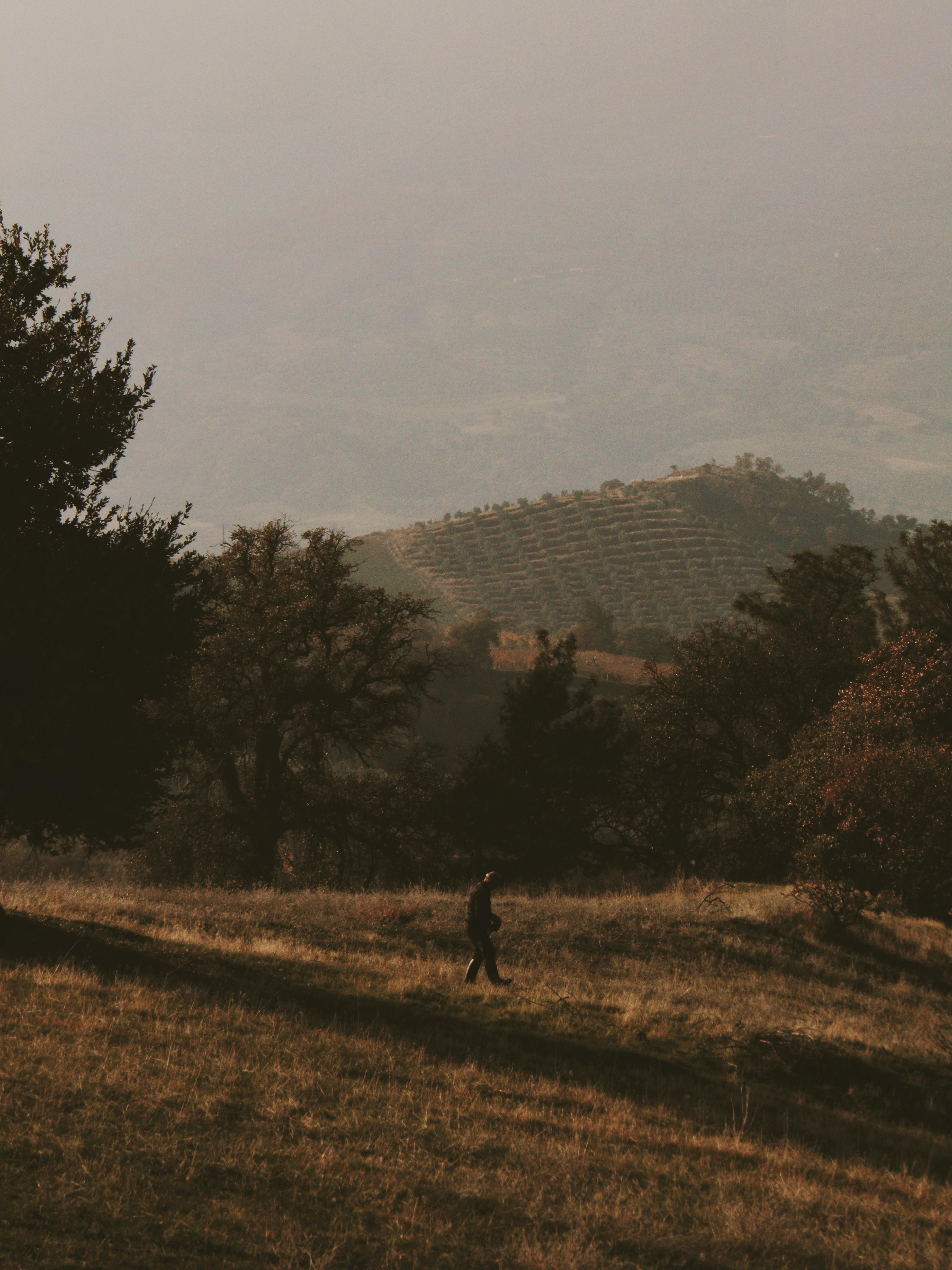 一个人独自走在秋日薄雾笼罩的景色中，周围是树木和山丘。