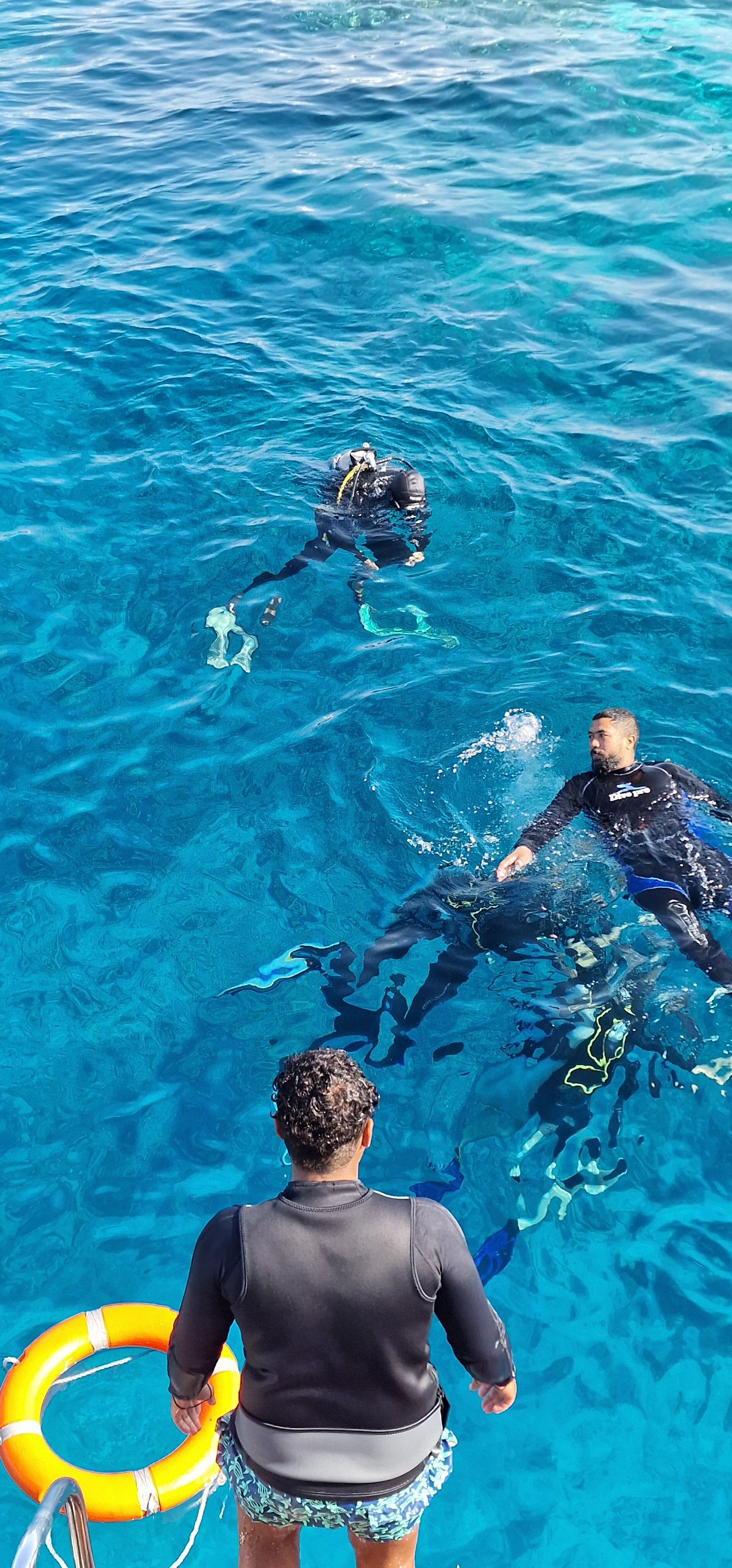How AI Reception Builds a Repeat-Diver Pipeline for Dive Centers