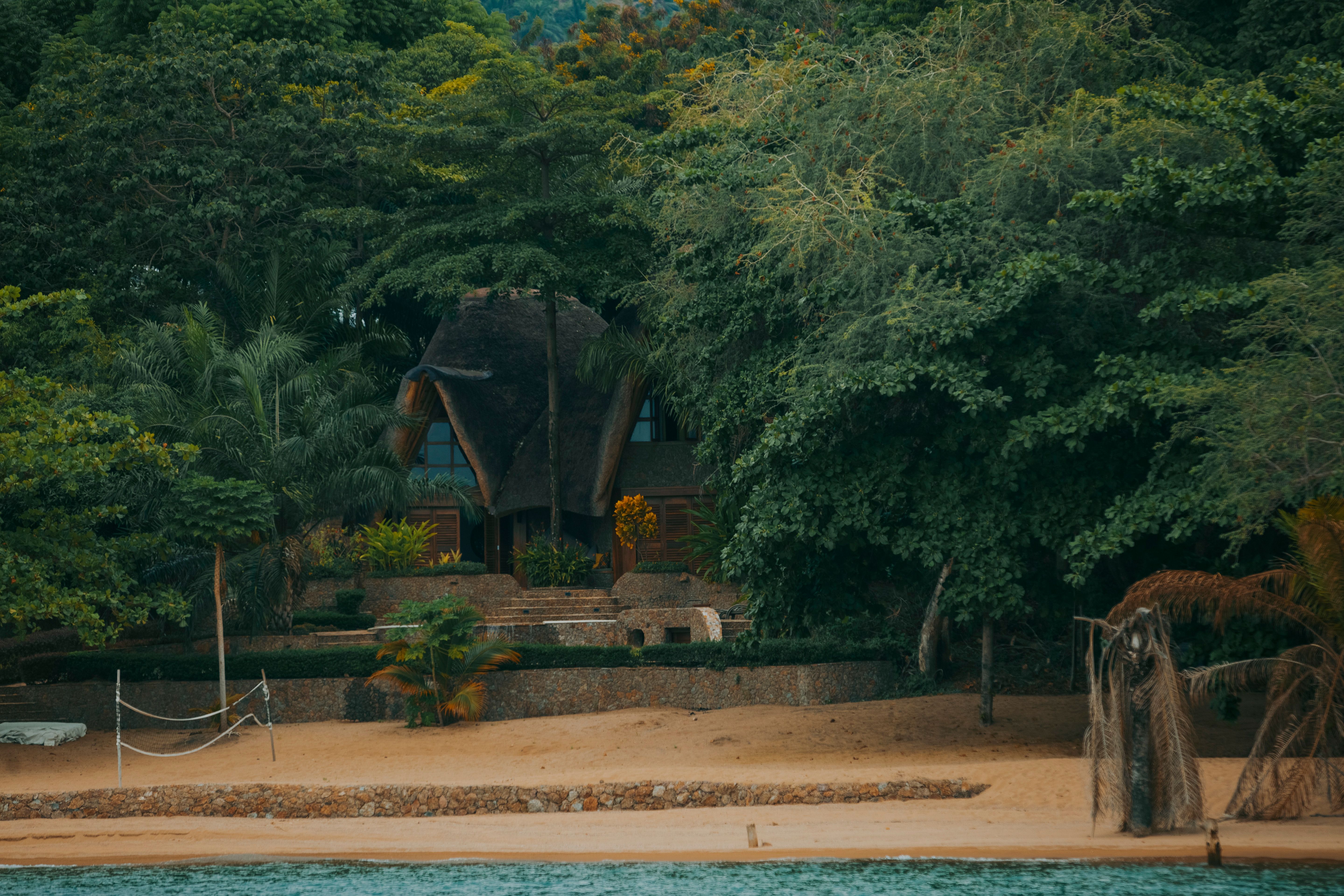 Charming thatched-roof villa nestled in dense tropical jungle along a serene sandy beach.