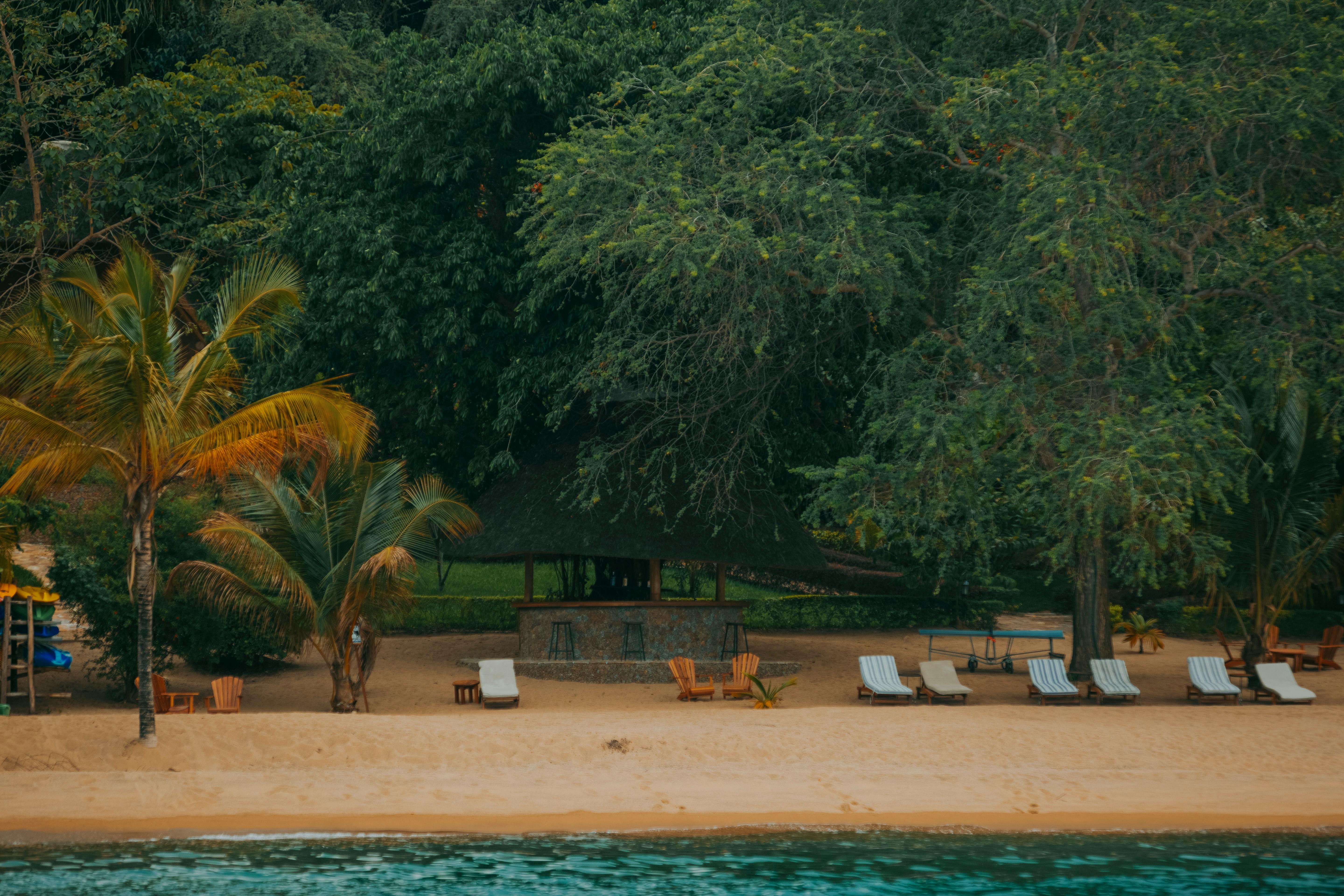 Pam+Bondi+Bikini+Pictures+ Photos, Download The BEST Free Pam+Bondi ...