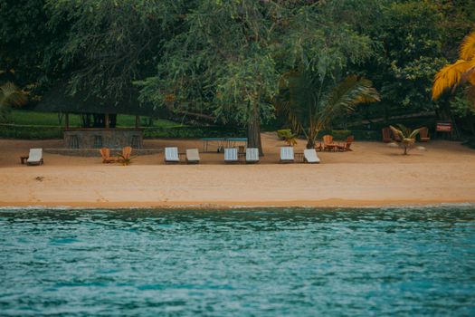 Serene beachfront scene with empty lounge chairs under lush trees, perfect summer getaway.