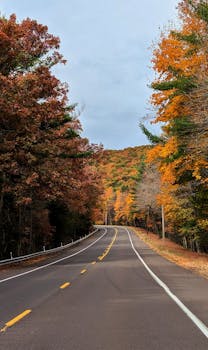 A beautifully winding road lined with vibrant fall foliage showcasing autumn's brilliant colors.