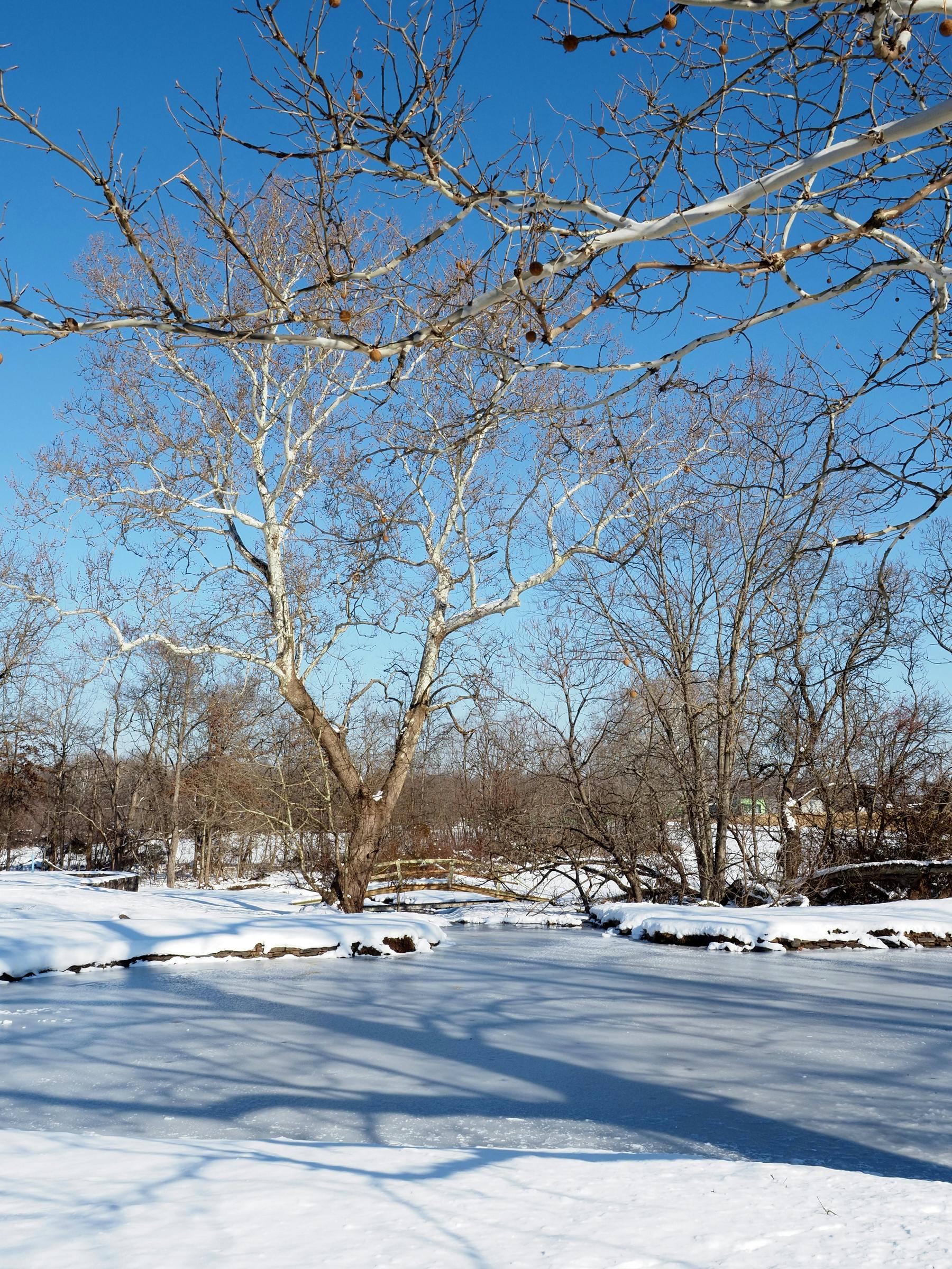 Proje Teslim Süresi Hakkında Bilmeniz Gereken 5 Kritik Bilgi: Bakırköy'de Daire Alırken Dikkat!