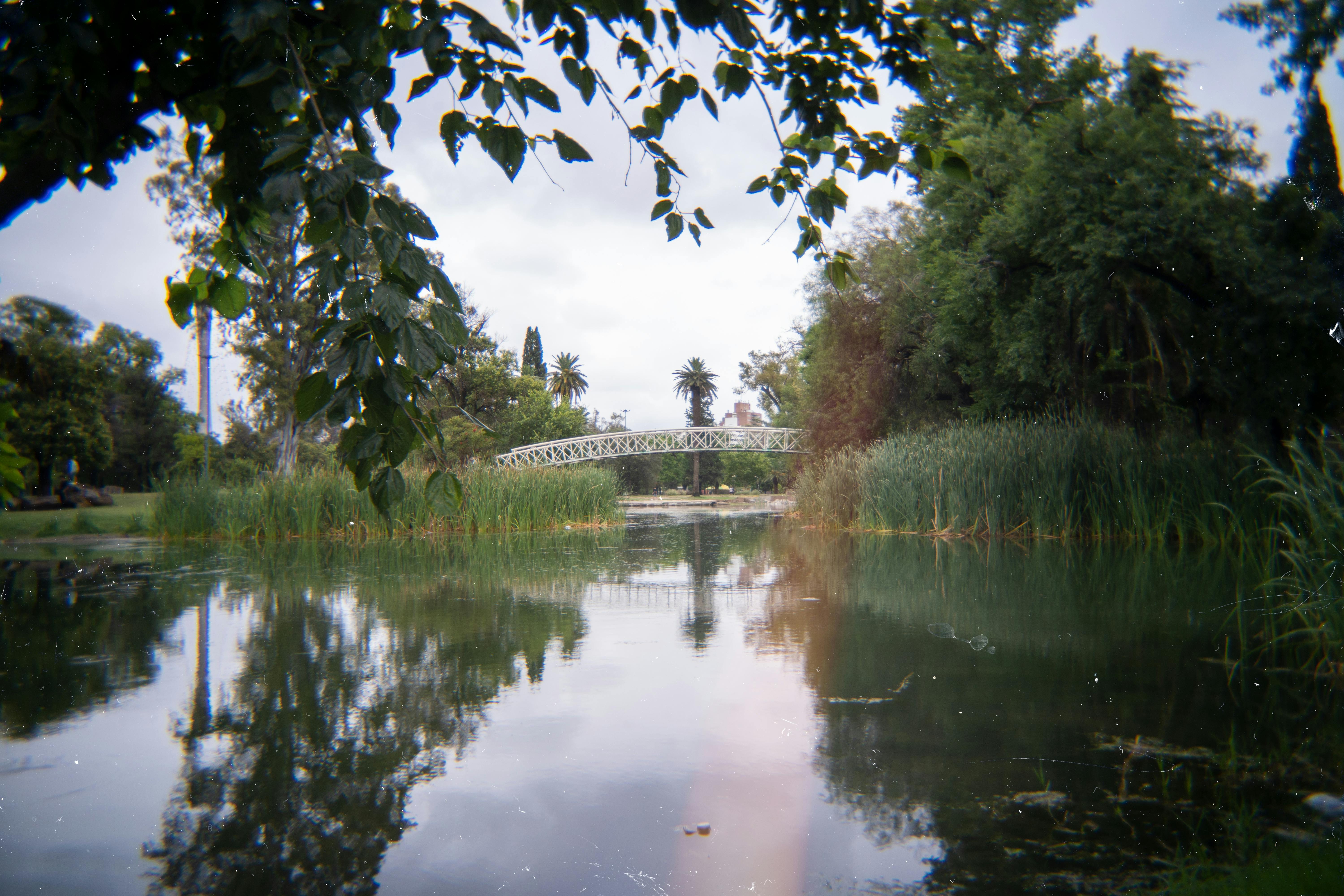 Kostenlos Malerische Ansicht einer Brücke über einen ruhigen Teich, umgeben von üppigem Grün, in Córdoba, Argentinien. Stock-Foto